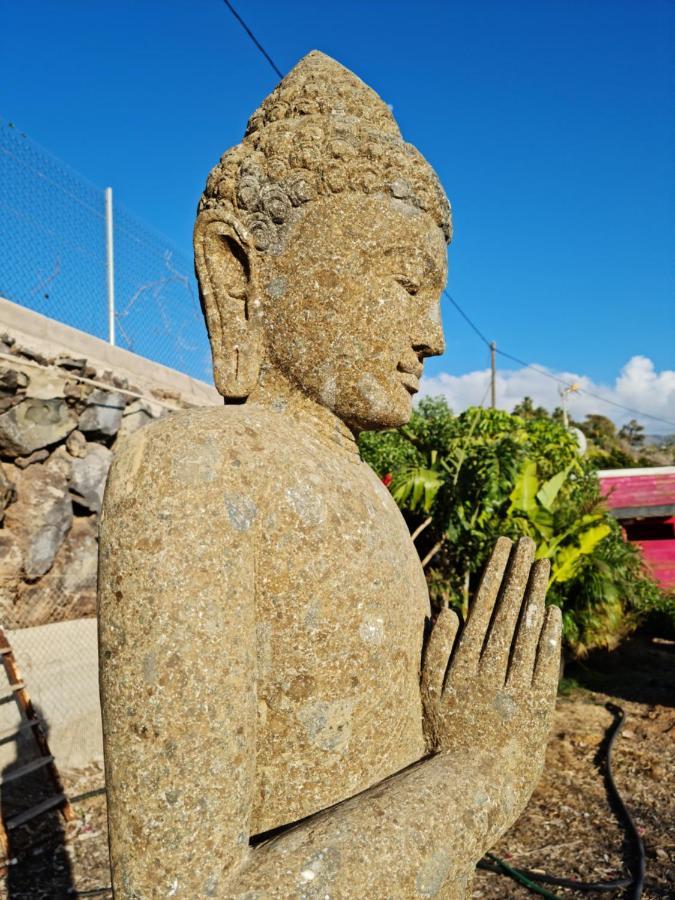 Finca Berolo 1 Guía de Isora Εξωτερικό φωτογραφία