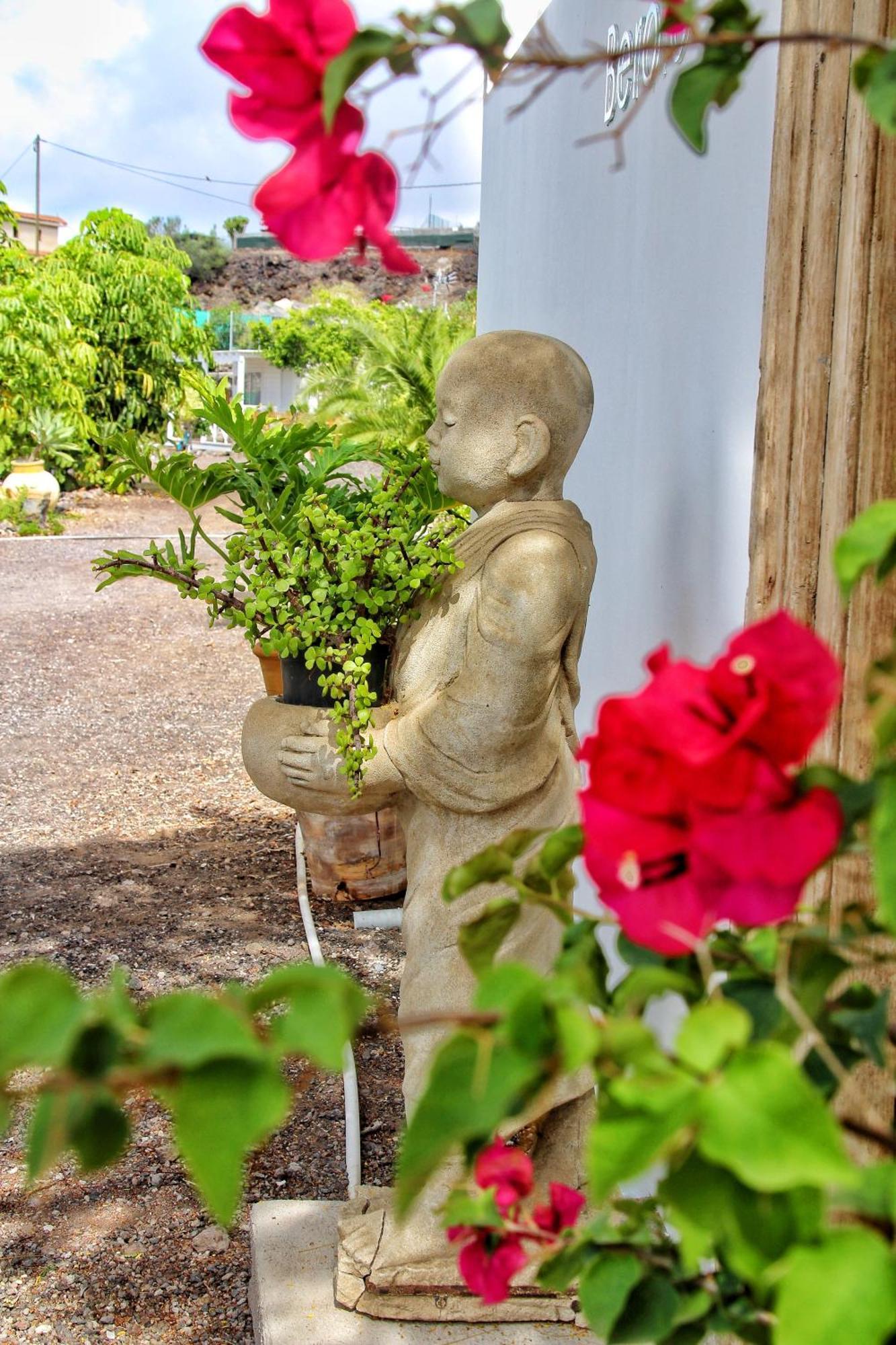 Finca Berolo 1 Guía de Isora Εξωτερικό φωτογραφία