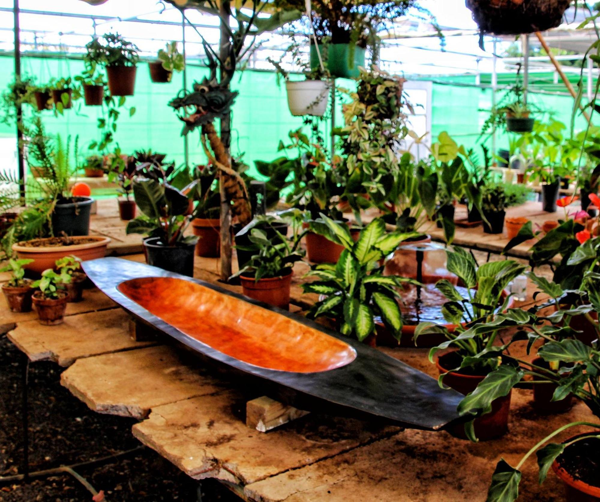 Finca Berolo 1 Guía de Isora Εξωτερικό φωτογραφία